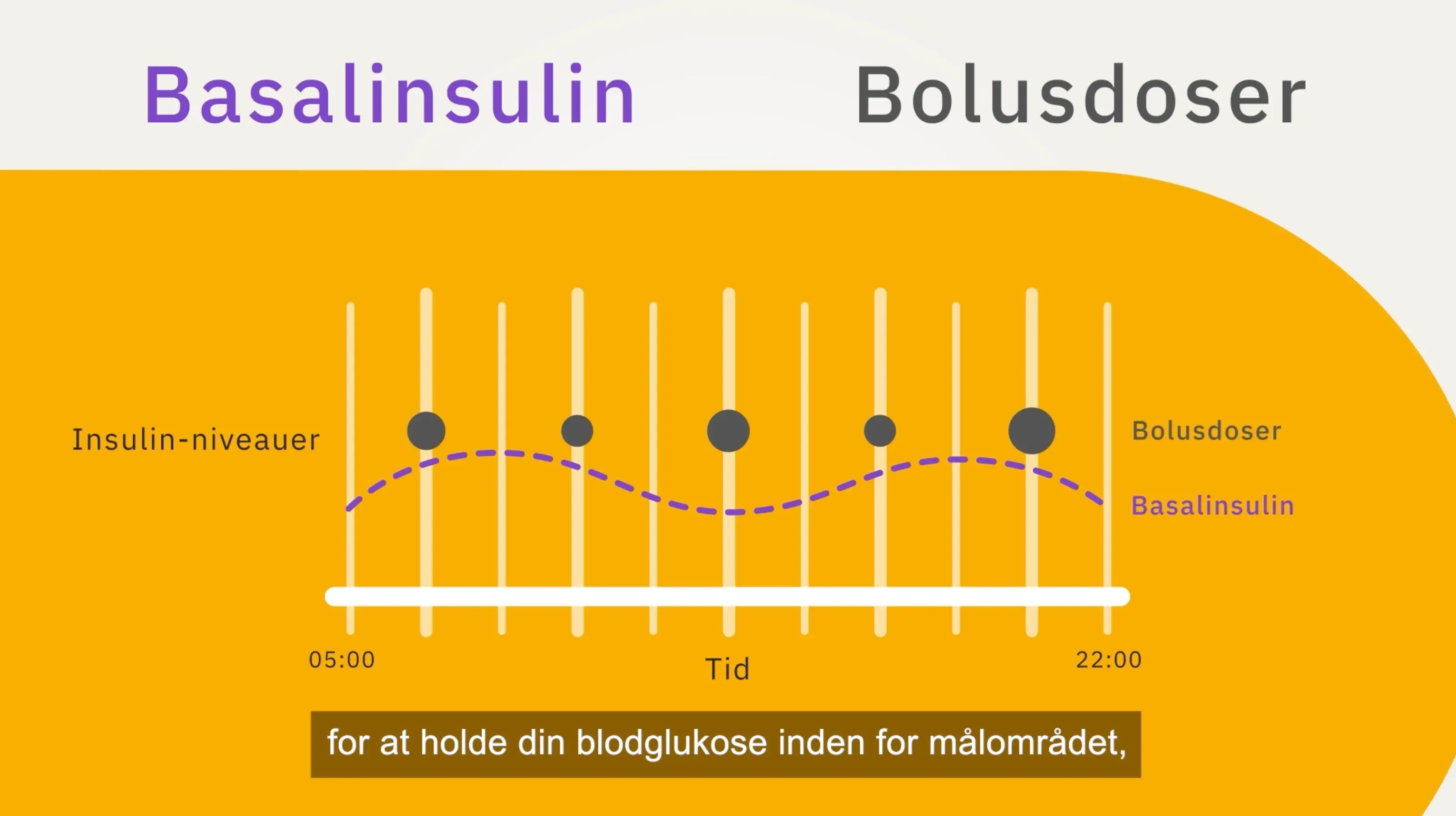 nordic-infucare-basal-bolus-dk