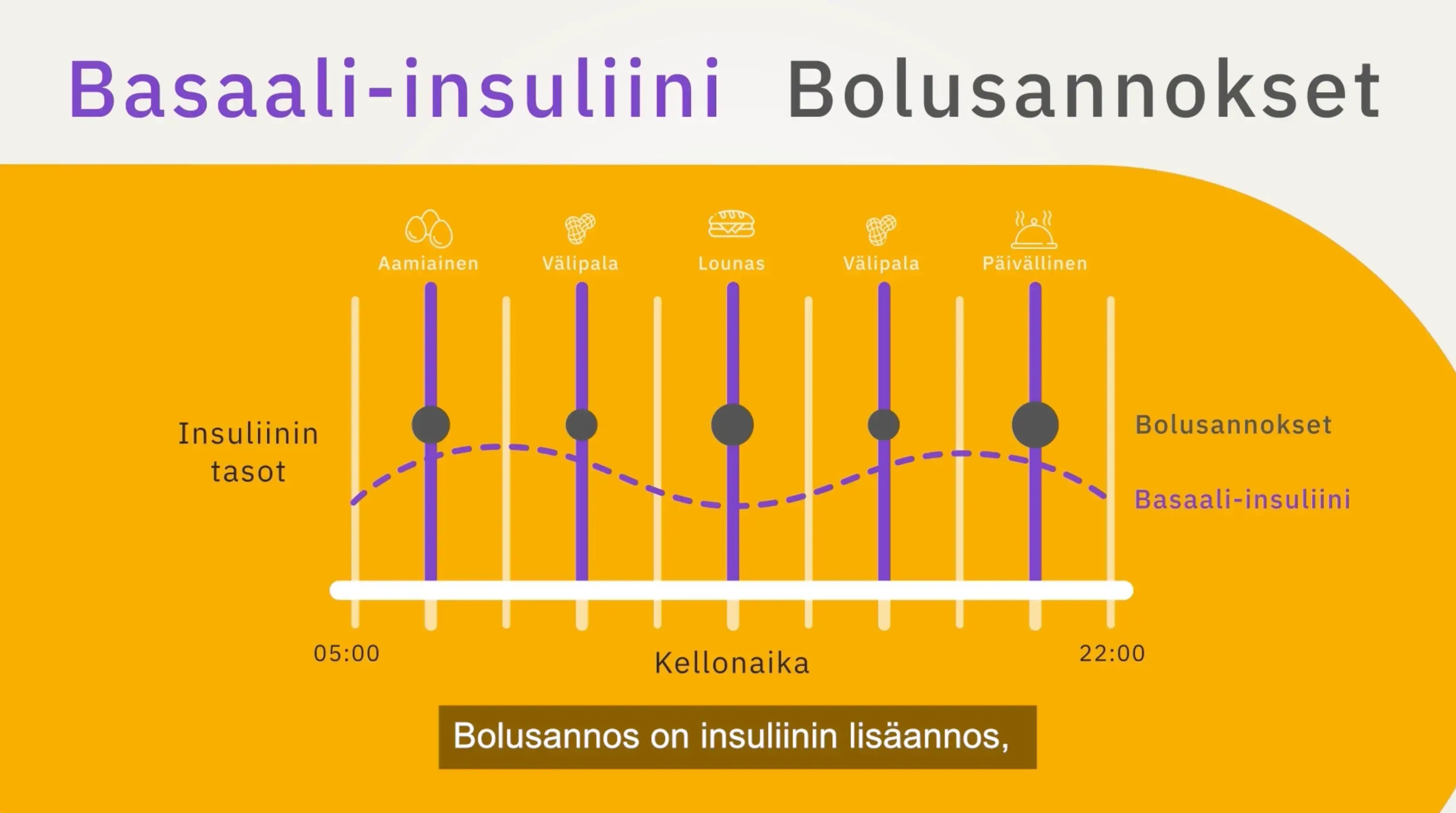 nordic-infucare-fi-basal-bolus