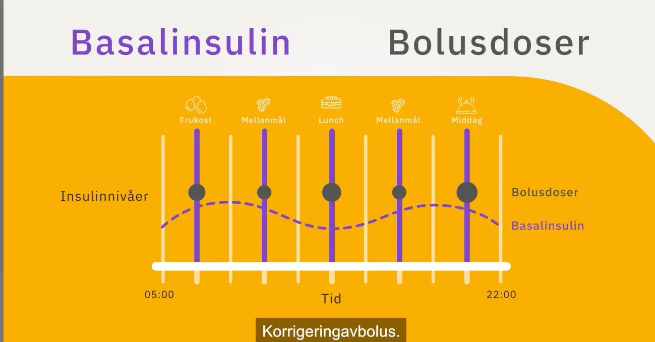 _nordic-infucare-video-basal-bolusbahndling